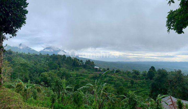 LAND VIEWING MOUNTAINS, SEA AND JAVA ISLAND 2