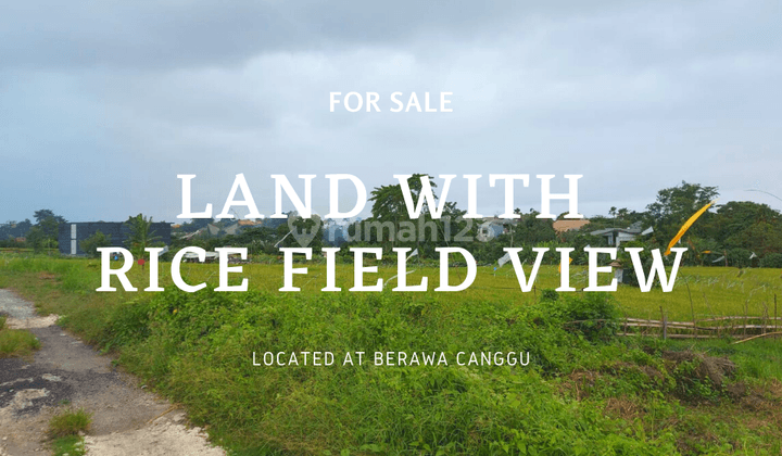 LAND WITH RICE FIELD VIEW AT BERAWA CANGGU 1