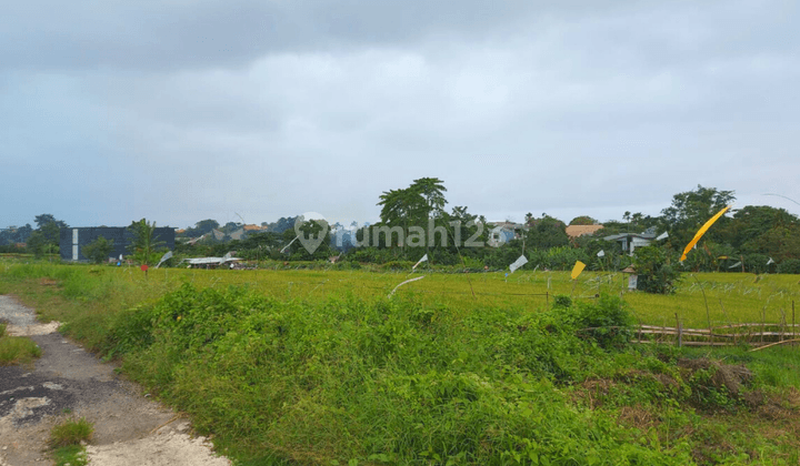 LAND WITH RICE FIELD VIEW AT BERAWA CANGGU 2