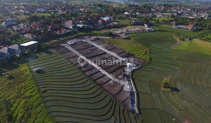 VILLAS AREA LAND NEAR BEACH IN CANGGU 1