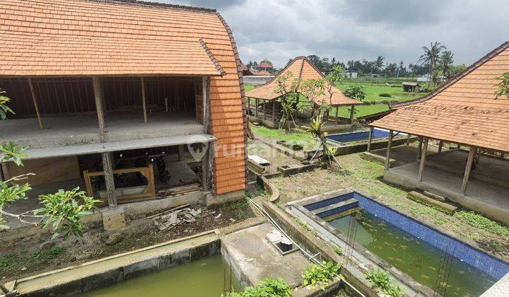 RICE FIELD VIEW LAND BONUS VILLA IN GIANYAR 1