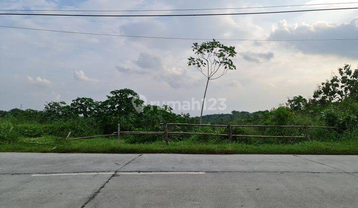 Tanah Bagus Pinggir Jalan Dekat Ringroad Mojosongo Solo 1