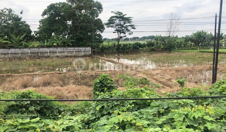 Dijual Tanah Komersil di Karawang Barat, Posisi Jalan Raya