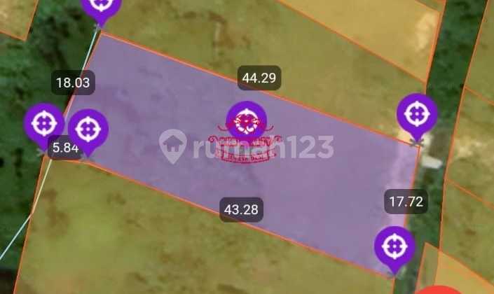 Land for Sale in Pererenan Location