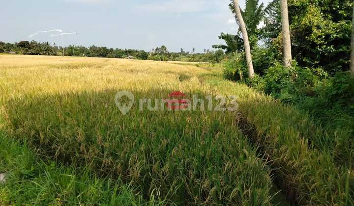 Tanah Jual Lokasi Pantai Nyanyi