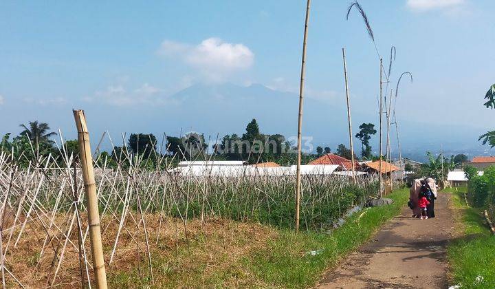 Tanah murah-rata untuk wisata+cafe lokasi strategis full view  2