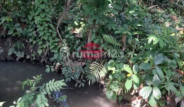 Tanah Jual Lokasi Munggu Tanah Jual Lokasi Munggu