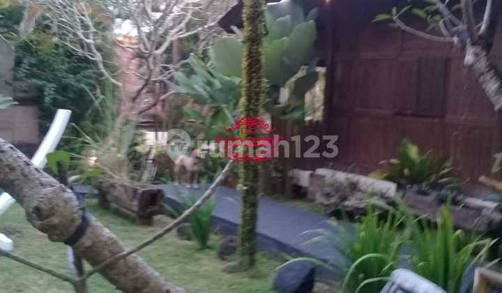 Tanah Jual Lokasi Pererenan