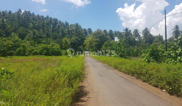 TANAH 6,6HA DI TONGKAINA MANADO SULAWESI UTARA 2