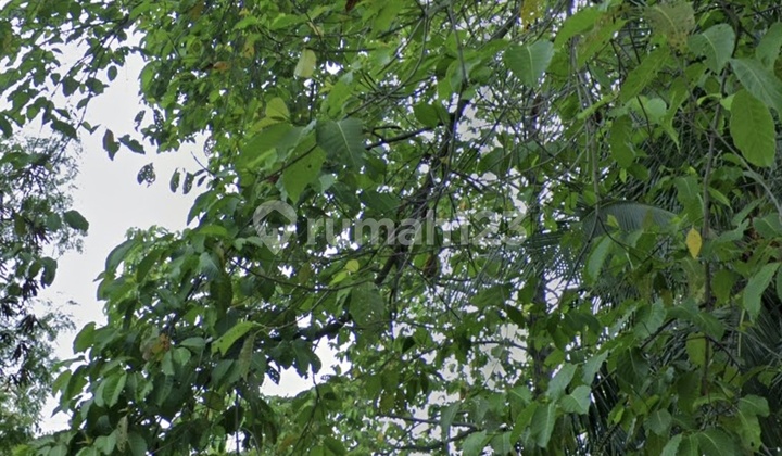 Ready-to-build lot in a residential complex