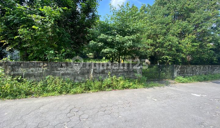 TANAH SUPER ISTIMEWA DAN MURAH DI MAGUWO