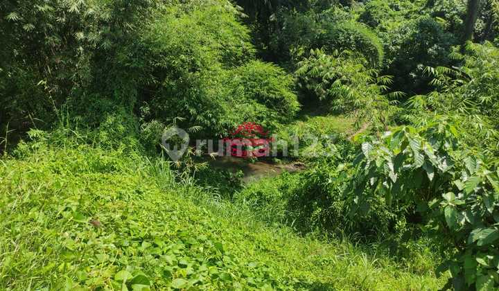 Tanah Jual Lokasi Sukawati