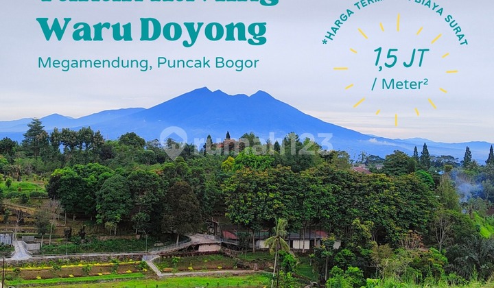 jual tanah berkontur cocok bangun villa di puncak bogor 