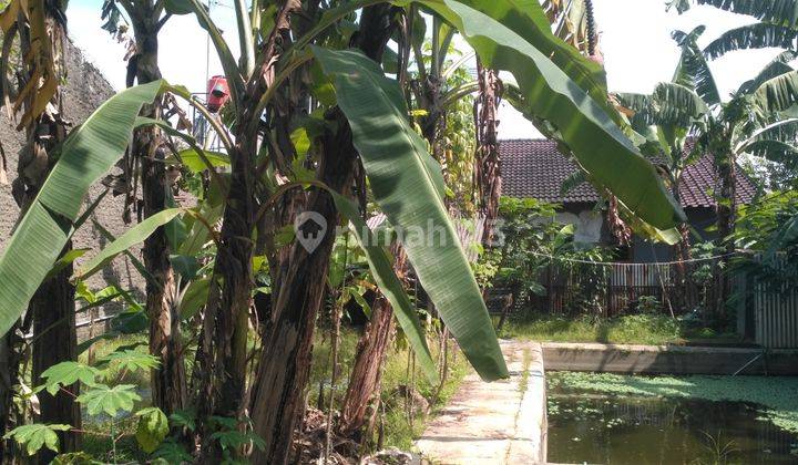 Tanah Kotak Di Cluster Campaka Arum Gedebage Kodya Bandung Atau Bandung Timur 2