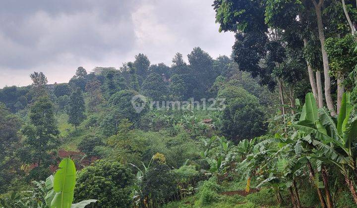 Tanah Di Citra Green Dago Dijual Murah 2