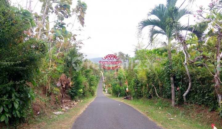 Tanah Jual Lokasi Pekutatan Tanah Jual Lokasi Pekutatan