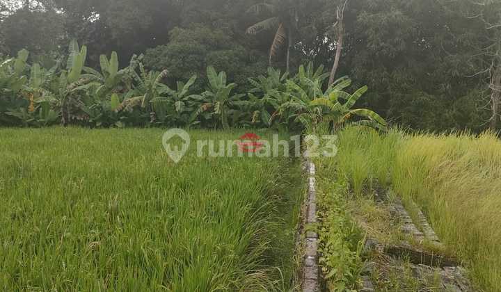 Tanah Jual Lokasi Echo Beach