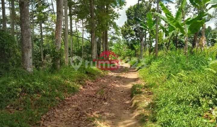 Land for Sale Location Pelaga Land for Sale Location Pelaga