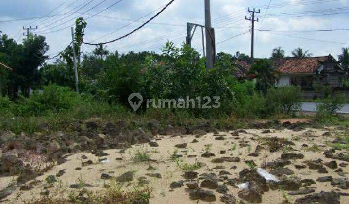 Jual Tanah Tulang Bawang Pingir Jalan Besar 2