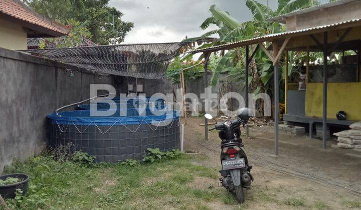 SEMI-PERMANENT BUILDING BONUS LAND HAS A SURROUNDING FENCE AND GATE 2