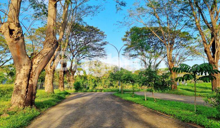 TANAH KAVLING BUKIT GOLF INTERNASIONAL CITRALAND JALAN KEMBAR dekat clubhouse, JLLB 2