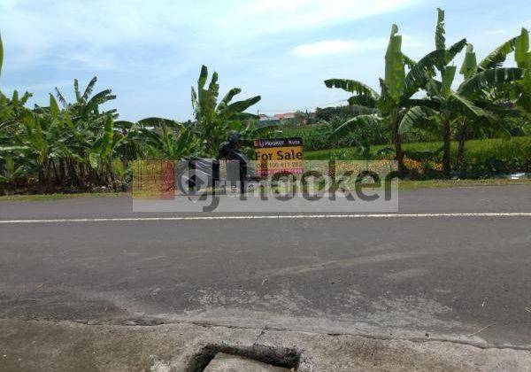 Land  in Pererenan Canggu Close to Echo Beach