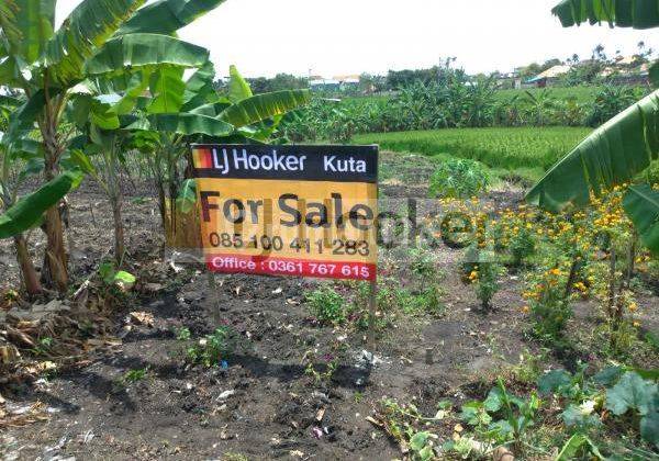 Land  in Pererenan Canggu Close to Echo Beach