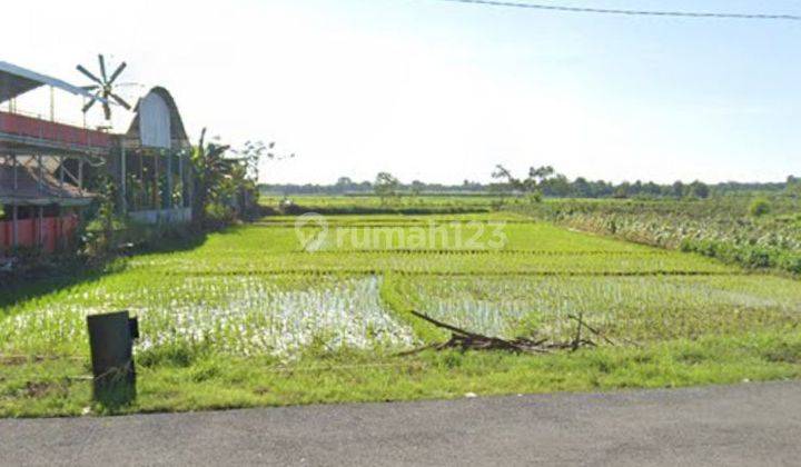 DIJUAL CEPAT TANAH SHM -SINDANG LAUT KAB.CIIREBON 1