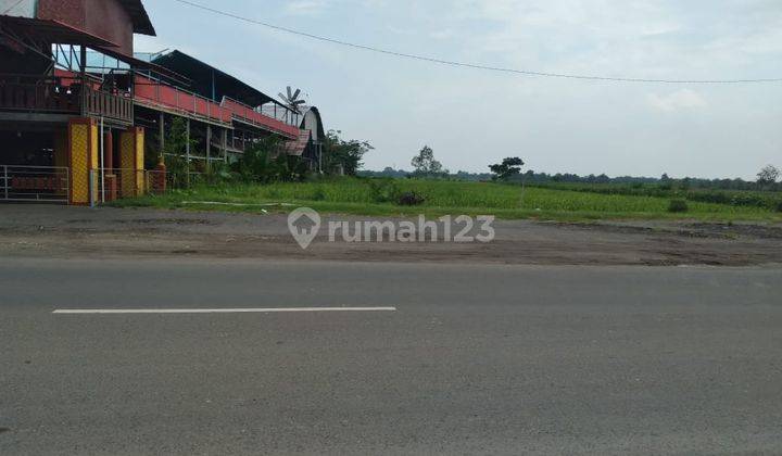 DIJUAL CEPAT TANAH SHM -SINDANG LAUT KAB.CIIREBON 2