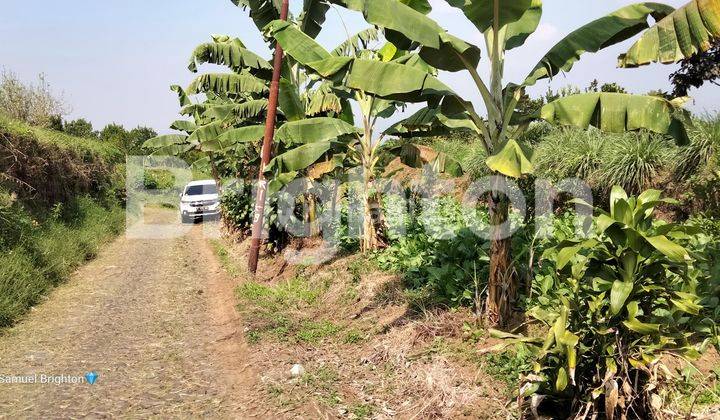 Tanah View Istimewa Gunung Panderman dan Kota Batu Dekat Exit Tol Kota Batu (Coming Soon) 1