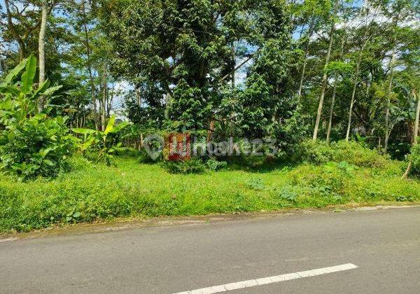 Kavling sewa di jalan Bima Salatiga 1