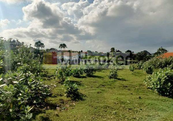 Premium Land in Umalas Kerobokan with Beautiful Environment close to Berawa Beach 1