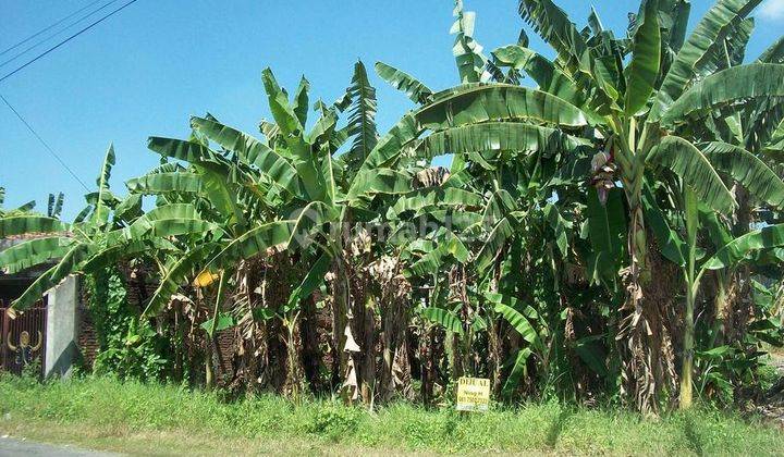 Tanah di Kebraon Manis Utara, Hadap Utara, Row Jalan Lebar, Sudah Urug - NH - 1