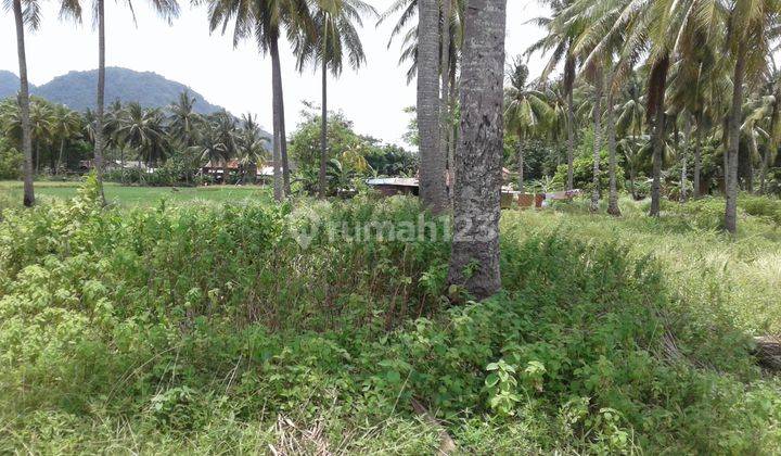 Tanah zona industri Di Pelabuhan Ratu Jawa Barat 2