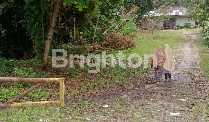 TANAH LUAS DIPINGGIR JALAN BESAR Dekat pasar tradisional