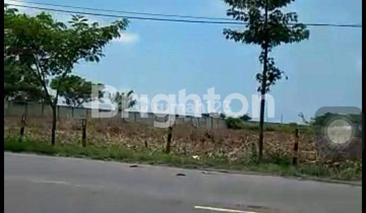 TANAH DI ZONA INDUSTRI DAERAH TUBAN KEC WIDANG NOL JALAN RAYA PROPINSI 1