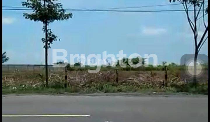 TANAH DI ZONA INDUSTRI DAERAH TUBAN KEC WIDANG NOL JALAN RAYA PROPINSI 2