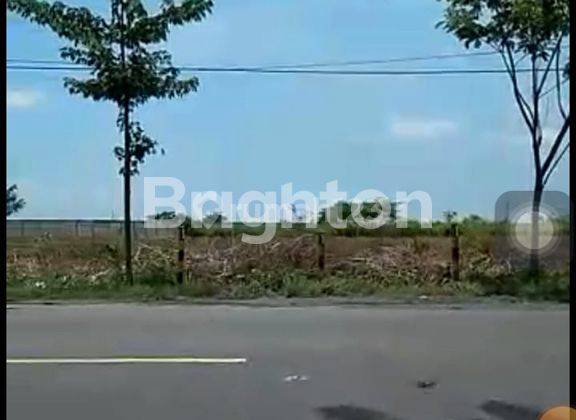 TANAH INDUSTRI DI DAERAH WIDANG TUBAN 2