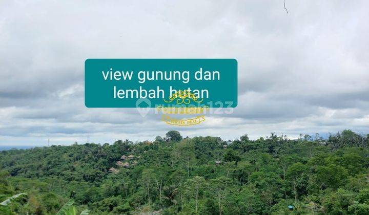 Land for sale in Tegallalang location 1