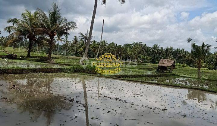 Tanah Jual Lokasi Kemenuh 1