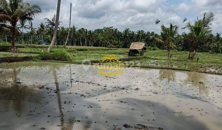 Tanah Jual Lokasi Kemenuh 2