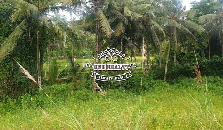 Land for sale in Lodtunduh location 2