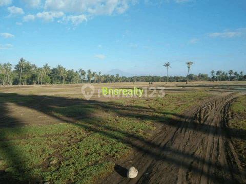 Tanah Lokasi Sumberkimia 2