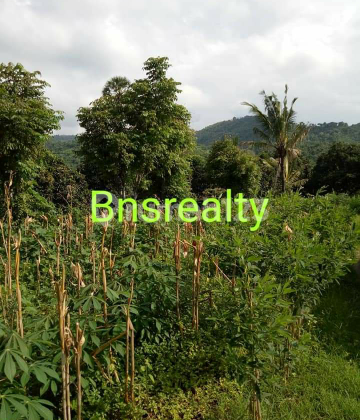 Tanah Lokasi Bukti Tanah Lokasi Bukti