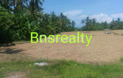 Tanah Lokasi Ida Bagus Mantra