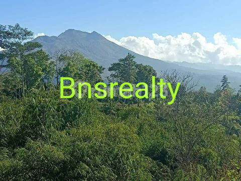 Land Location Kedisan Land Location Kedisan