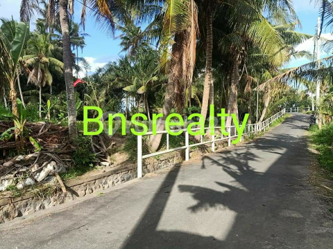 Tanah Lokasi Ketewel Tanah Lokasi Ketewel