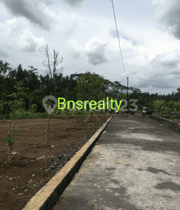 Tanah Lokasi Buruan 2