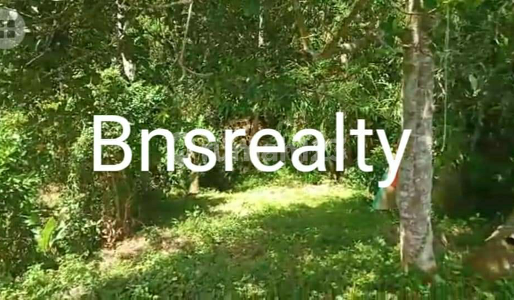 Cemagi Land Location