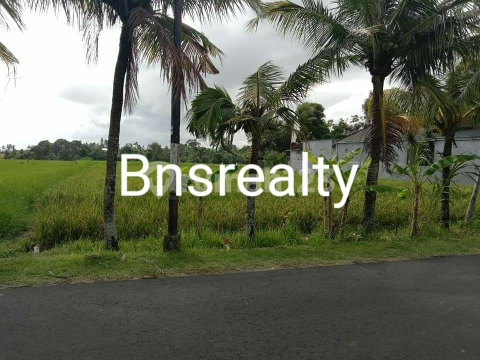 Tanah Lokasi Belalang Tanah Lokasi Belalang